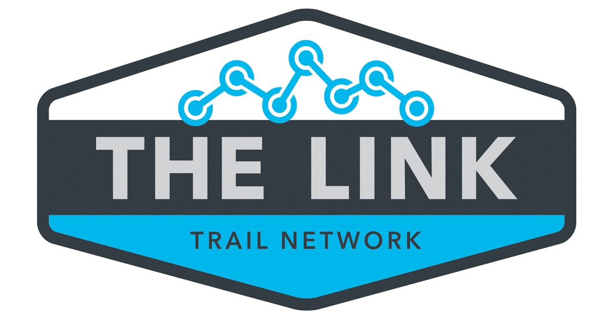 THE LINK logo